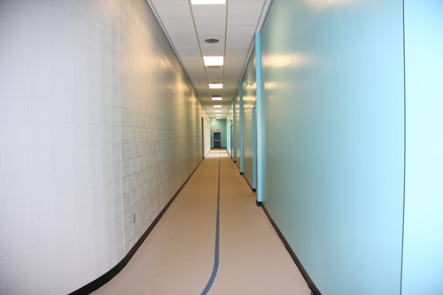 Larger Walking Track Photo