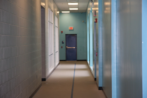 Larger Walking Track Photo