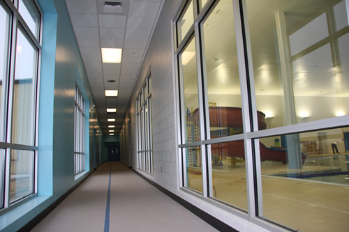 Larger Walking Track Photo