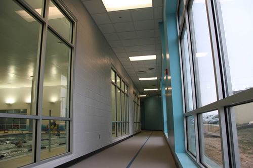 Larger Walking Track Photo