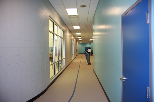 Larger Walking Track Photo