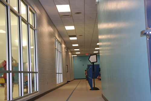 Larger Walking Track Photo